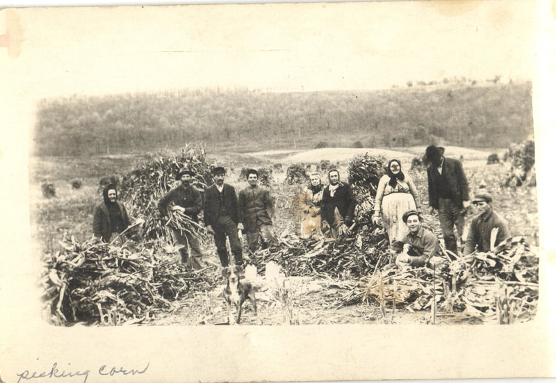 Group of people standing in field husking corn
