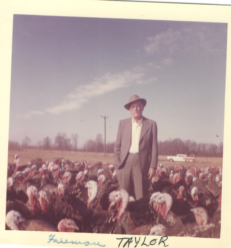 Pike County, Indiana, Robert R. Davis Family, Elderly Man in Field With Turkeys 