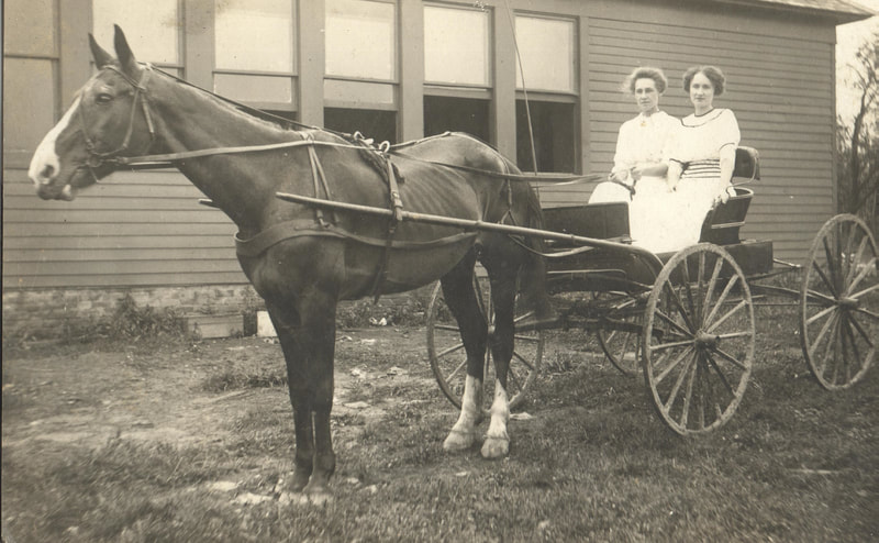 Pike County, Indiana, Harrison Family, Two Women in Horse-Drawn Carriage