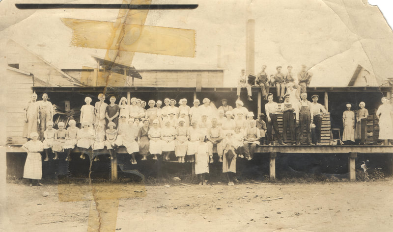 Workers on platform, Tomato Canning Factory
