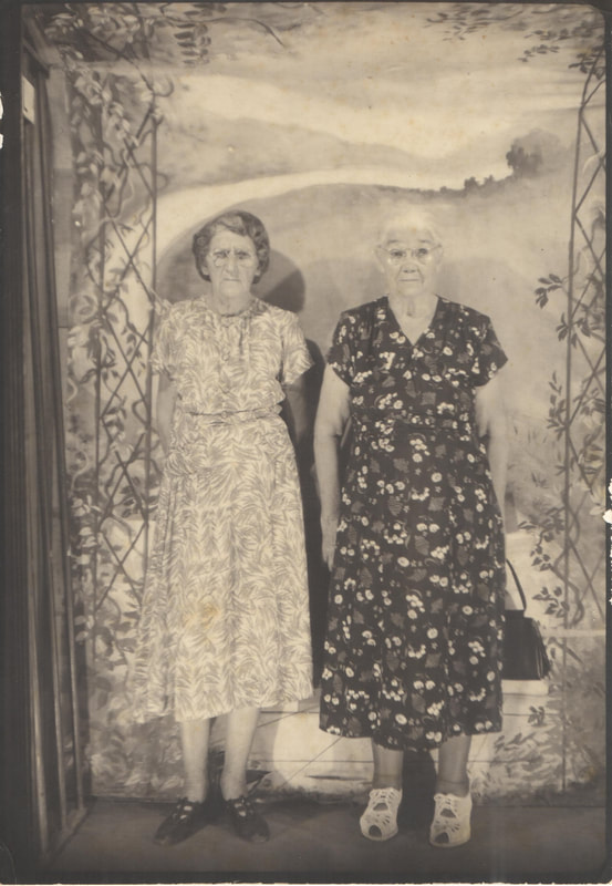 Virginia (Willis) Hale
Lydia (Willis) Hayes
Willis and Morton Families Pike County, Indiana Women