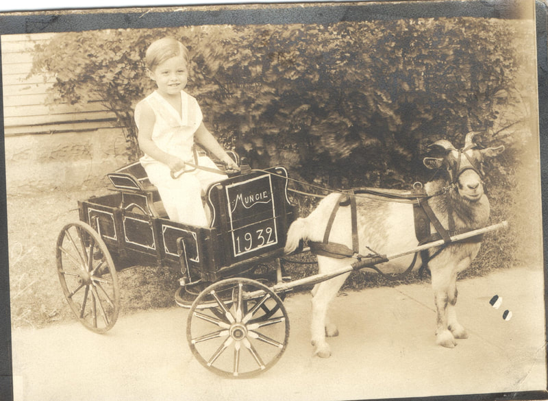 Young girl seated in goat pulled cart