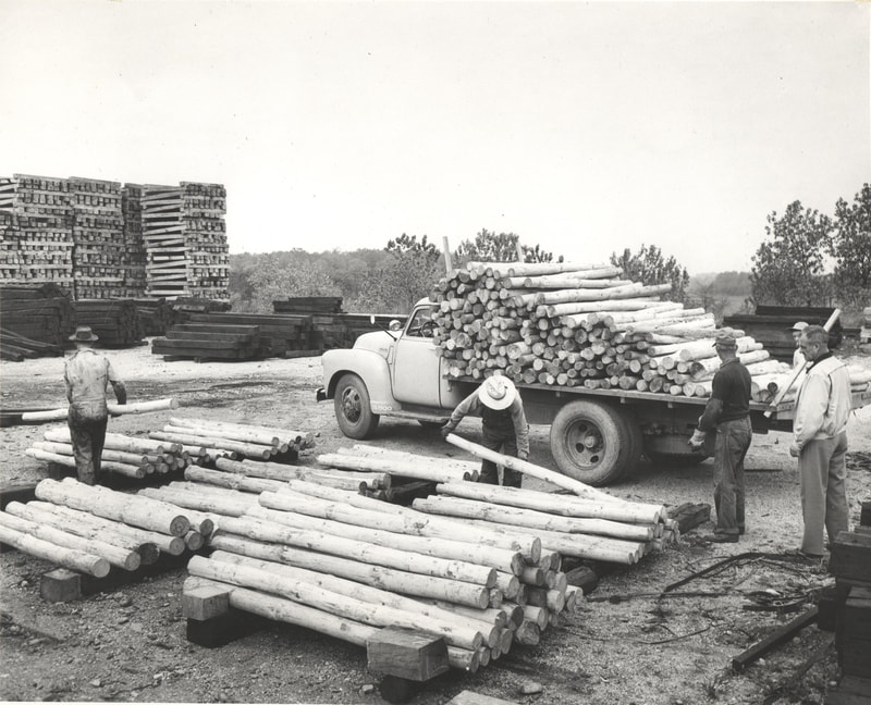 Pike County, Indiana, Pike County Coal Mines, Loggers Working, Indiana Coal Producers Association Division of Forestry