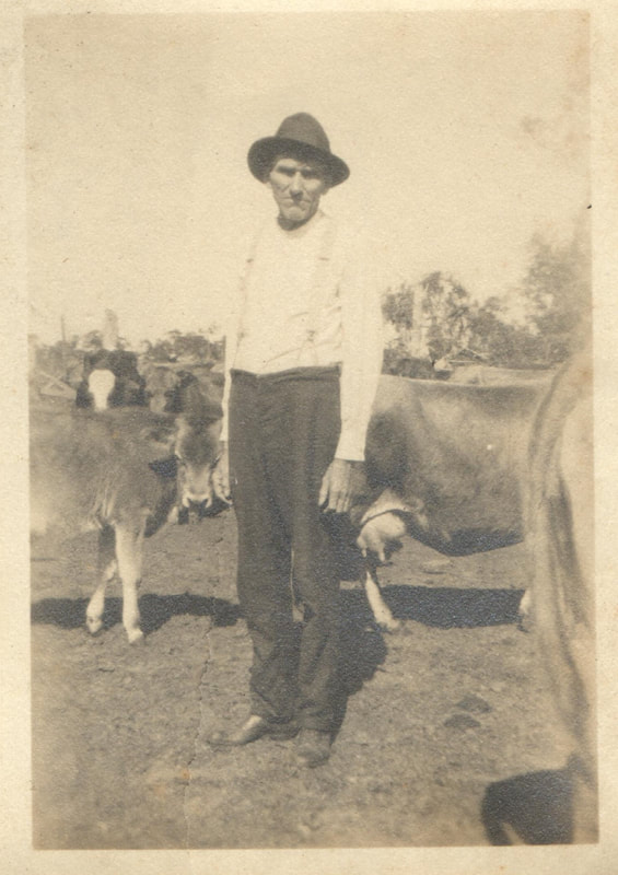 Pike County, Indiana, Cross Family Collection, Man Standing with Cattle