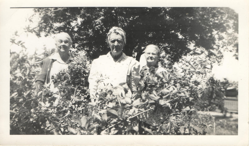 Elderly women standing in garden